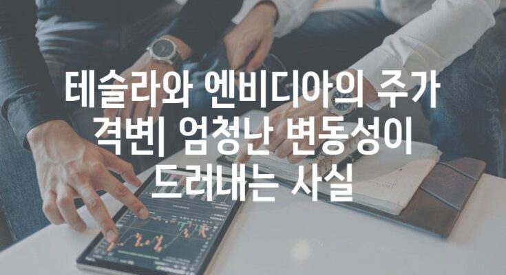 테슬라와 엔비디아의 주가 격변| 엄청난 변동성이 드러내는 사실