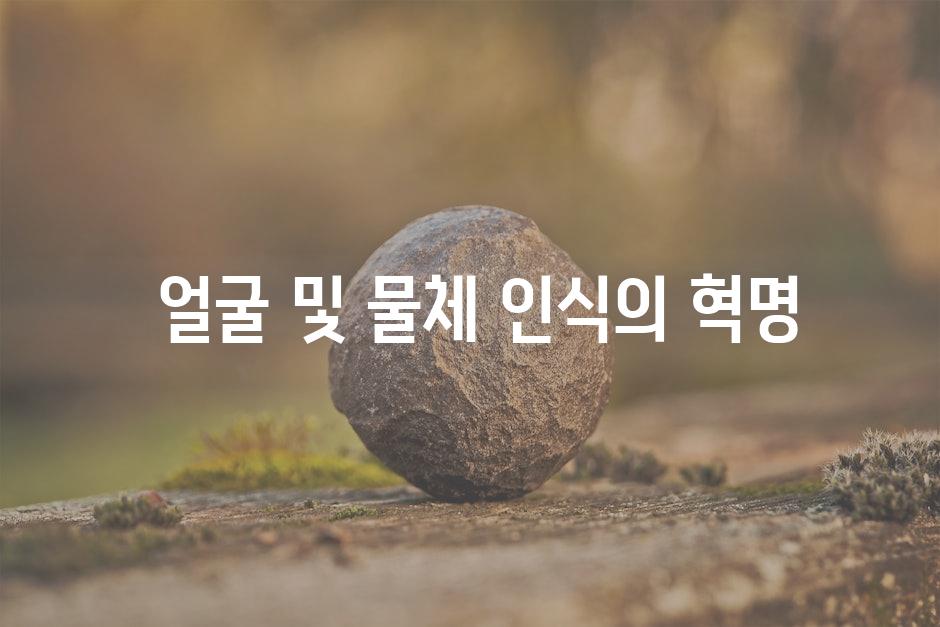  얼굴 및 물체 인식의 혁명