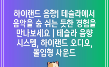 하이랜드 음향| 테슬라에서 음악을 숨 쉬는 듯한 경험을 만나보세요 | 테슬라 음향 시스템, 하이랜드 오디오, 몰입형 사운드