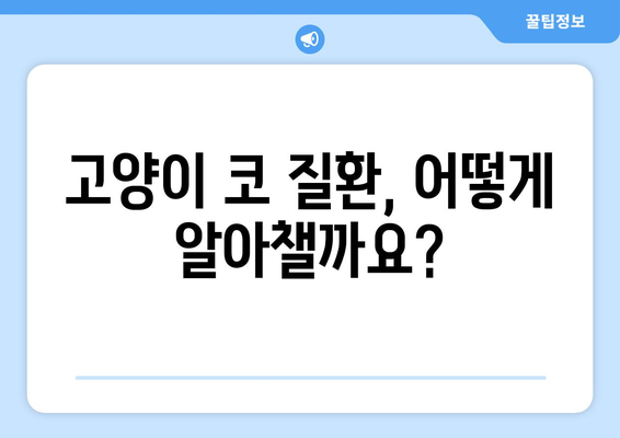 고양이 코 질환 진단| 물리 검사, 혈액 검사, 영상화 | 고양이 건강, 코 질환, 진단 방법, 수의사 상담