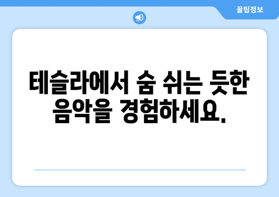 하이랜드 음향| 테슬라에서 음악을 숨 쉬는 듯한 경험을 만나보세요 | 테슬라 음향 시스템, 하이랜드 오디오, 몰입형 사운드