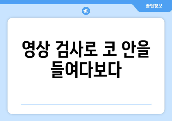 고양이 코 질환 진단| 물리 검사, 혈액 검사, 영상화 | 고양이 건강, 코 질환, 진단 방법, 수의사 상담