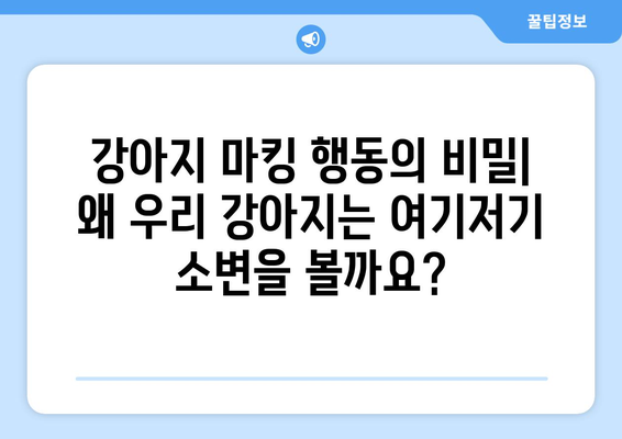 강아지 마킹 행동, 왜? 이유와 해결 솔루션 | 마킹, 소변, 영역표시, 훈련, 문제 해결, 강아지 행동