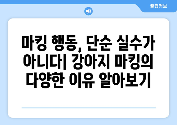 강아지 마킹 행동, 왜? 이유와 해결 솔루션 | 마킹, 소변, 영역표시, 훈련, 문제 해결, 강아지 행동