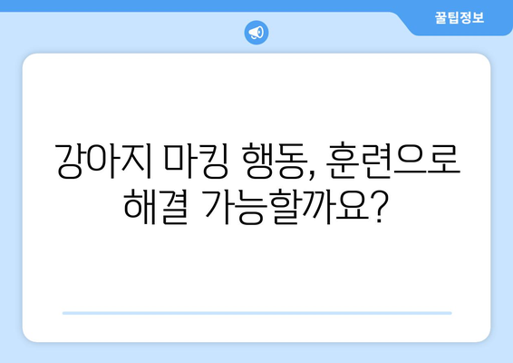 강아지 마킹 행동, 왜? 이유와 해결 솔루션 | 마킹, 소변, 영역표시, 훈련, 문제 해결, 강아지 행동