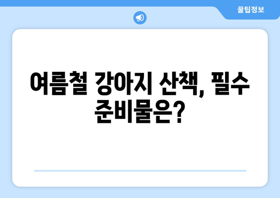 🐶 여름철 강아지 산책, 안전하게 즐기는 꿀팁 7가지 | 강아지 더위, 산책 주의 사항, 준비물