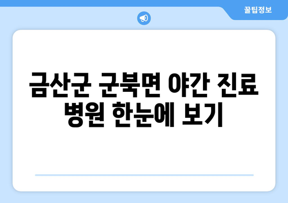 충청남도 금산군 군북면 일요일 휴일 공휴일 야간 진료병원 리스트