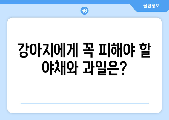 강아지에게 안전한 야채와 과일| 댕댕이 건강 간식 가이드 | 강아지, 야채, 과일, 건강 간식, 댕댕이