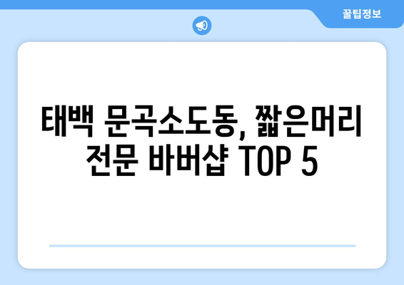 강원도 태백시 문곡소도동 남자 짧은머리 바버샵 잘하는 곳 추천 TOP 5