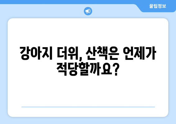 🐶 여름철 강아지 산책, 안전하게 즐기는 꿀팁 7가지 | 강아지 더위, 산책 주의 사항, 준비물