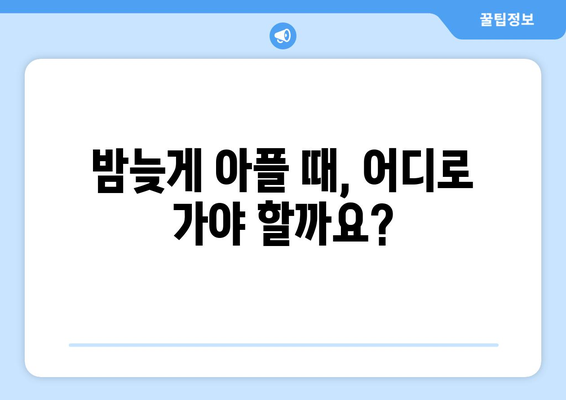 충청남도 금산군 군북면 일요일 휴일 공휴일 야간 진료병원 리스트