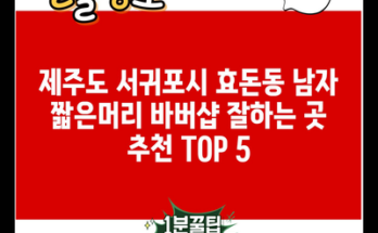 제주도 서귀포시 효돈동 남자 짧은머리 바버샵 잘하는 곳 추천 TOP 5