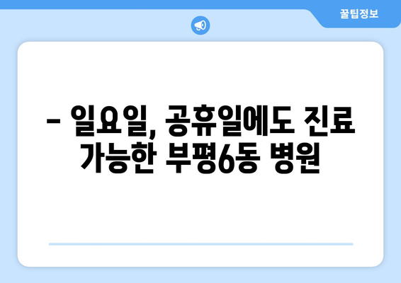 인천시 부평구 부평6동 일요일 휴일 공휴일 야간 진료병원 리스트