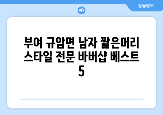 충청남도 부여군 규암면 남자 짧은머리 바버샵 잘하는 곳 추천 TOP 5