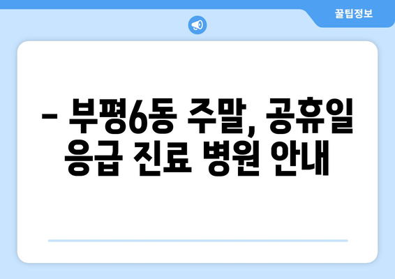 인천시 부평구 부평6동 일요일 휴일 공휴일 야간 진료병원 리스트