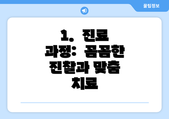 1.  진료 과정:  꼼꼼한 진찰과 맞춤 치료