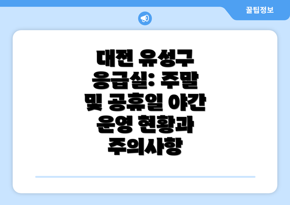 대전 유성구 응급실: 주말 및 공휴일 야간 운영 현황과 주의사항