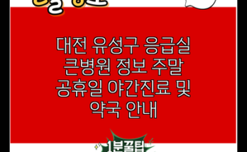 대전 유성구 응급실 큰병원 정보 주말 공휴일 야간진료 및 약국 안내