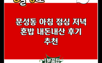 문성동 아침 점심 저녁 혼밥 내돈내산 후기 추천