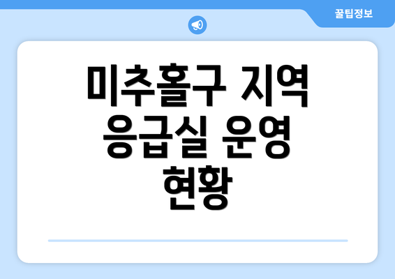 미추홀구 지역 응급실 운영 현황