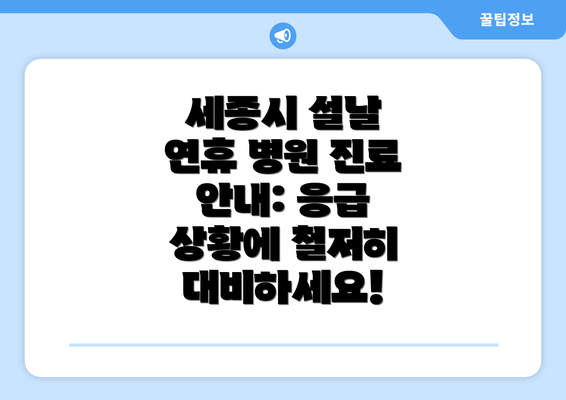 세종시 설날 연휴 병원 진료 안내: 응급 상황에 철저히 대비하세요!