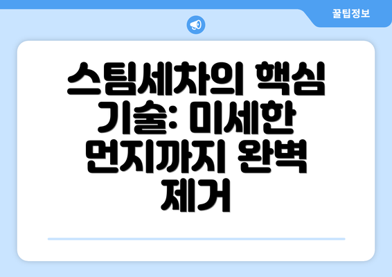 스팀세차의 핵심 기술: 미세한 먼지까지 완벽 제거