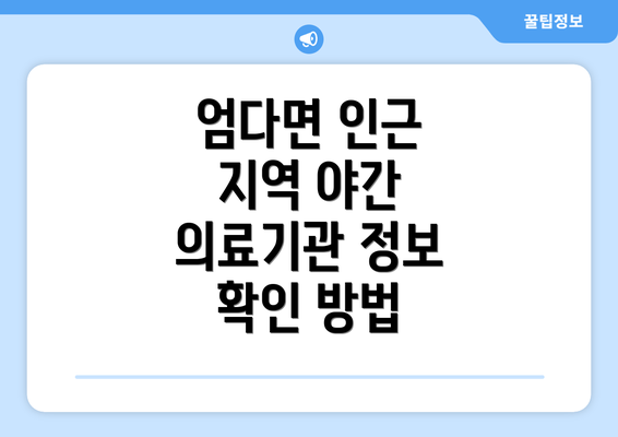 엄다면 인근 지역 야간 의료기관 정보 확인 방법