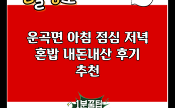 운곡면 아침 점심 저녁 혼밥 내돈내산 후기 추천