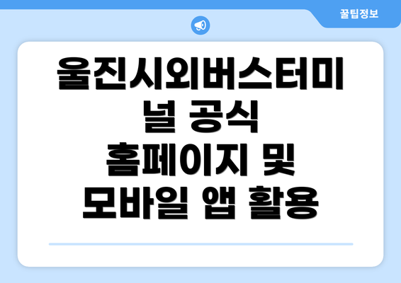 울진시외버스터미널 공식 홈페이지 및 모바일 앱 활용