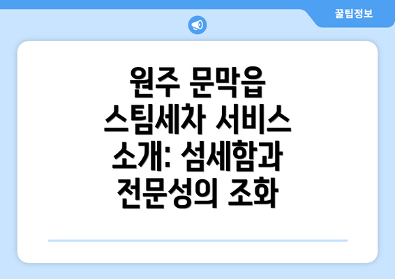 원주 문막읍 스팀세차 서비스 소개: 섬세함과 전문성의 조화