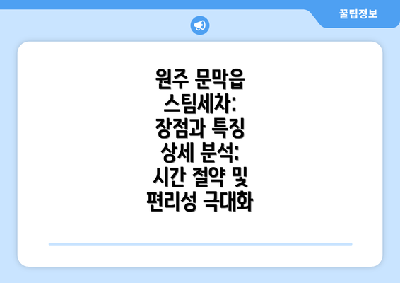 원주 문막읍 스팀세차: 장점과 특징 상세 분석: 시간 절약 및 편리성 극대화