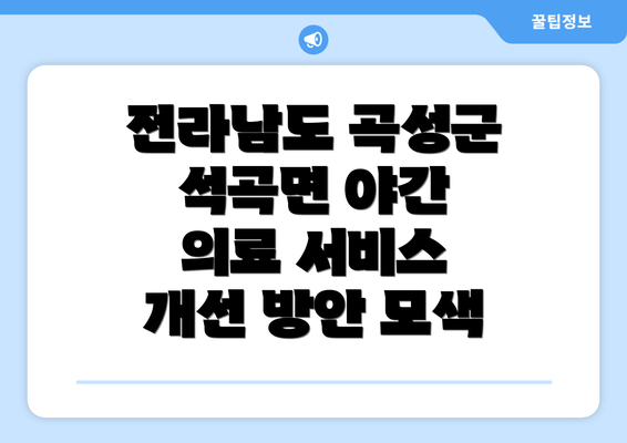 전라남도 곡성군 석곡면 야간 의료 서비스 개선 방안 모색