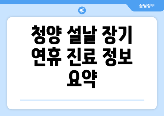 청양 설날 장기 연휴 진료 정보 요약